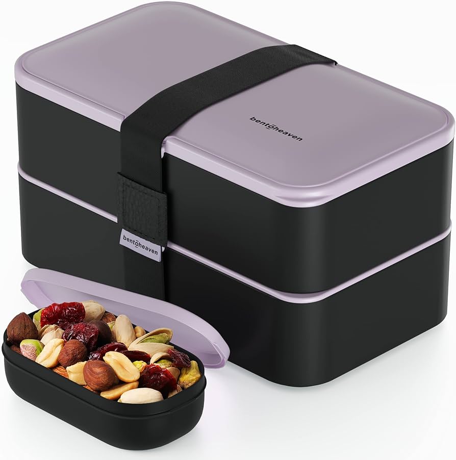 Best Electric Heated Lunch Box for Winter