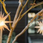 Best Holiday Lights For Winter Occasions