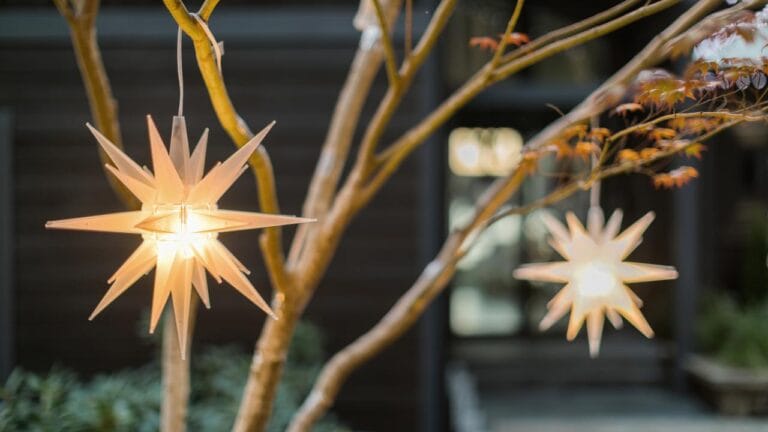 Best Holiday Lights For Winter Occasions