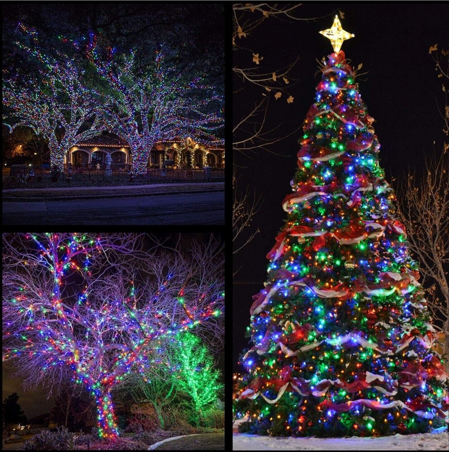 Best Holiday Lights For Winter Occasions