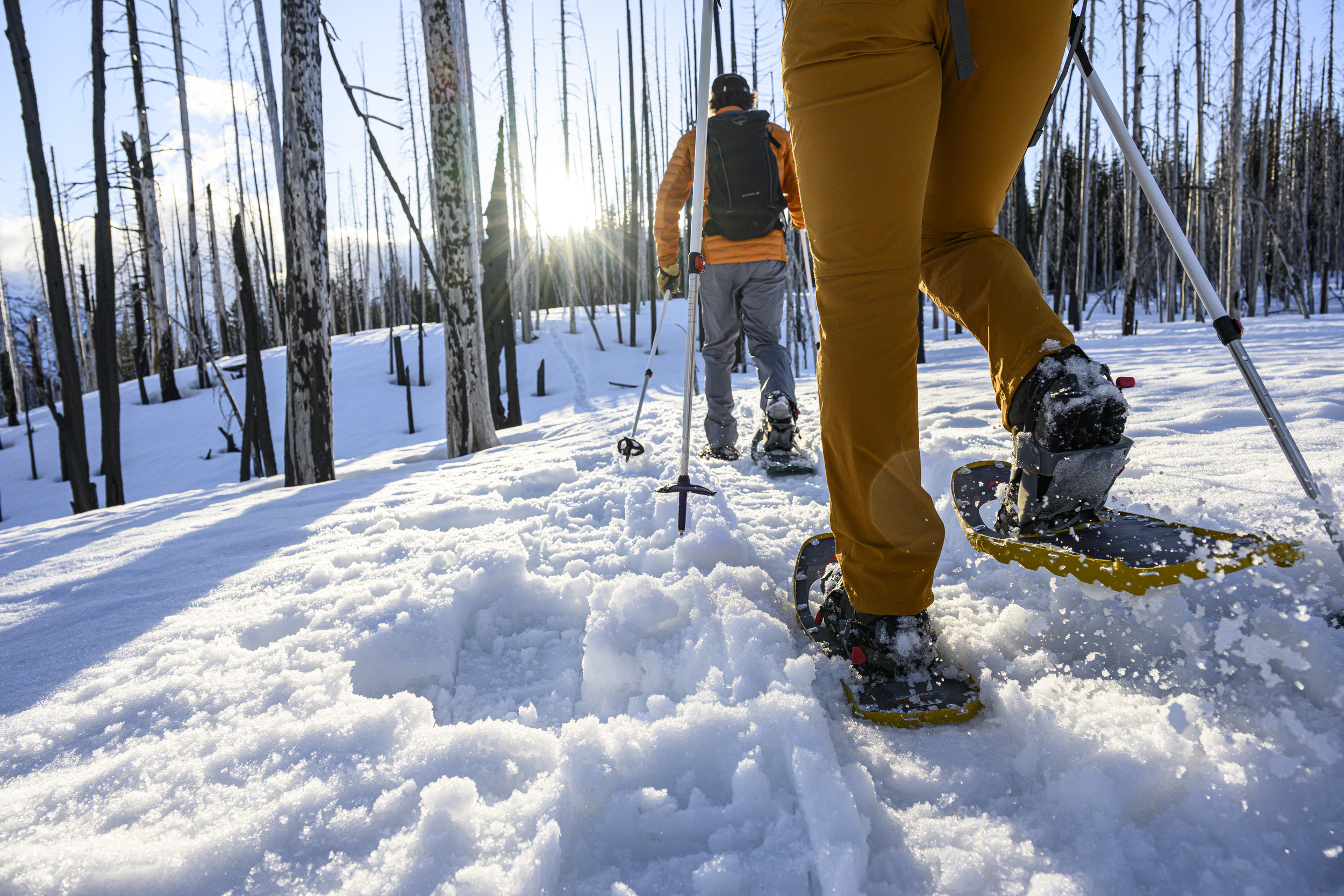 Must-Have Snow Shoes for Winter