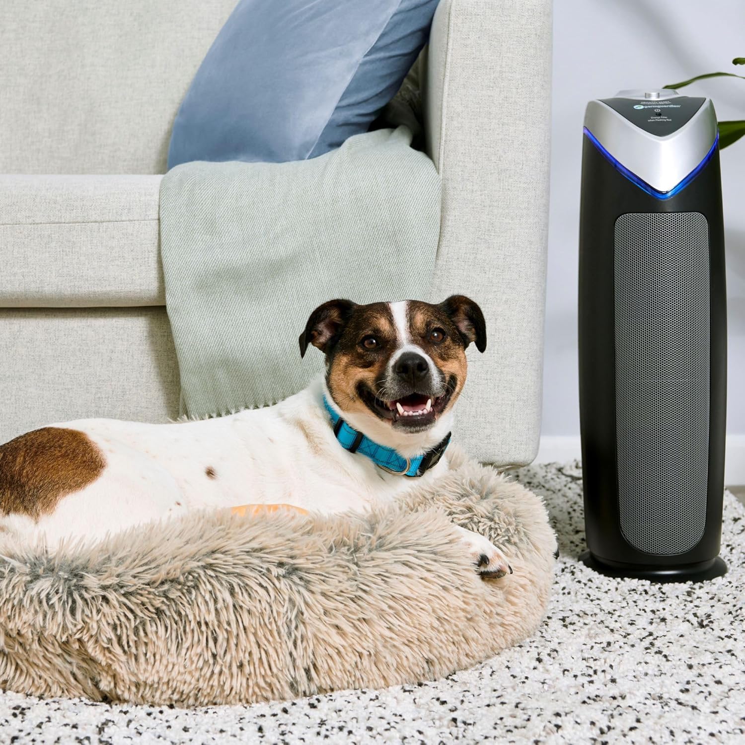 Top-Rated Air Purifiers for Winter Use